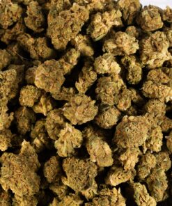 Jack Herer Smalls (AA) - Image 5