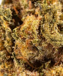 Jet Fuel Smalls (AA) - Image 4