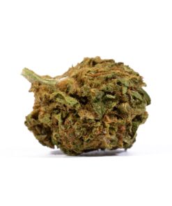 Lagoon (A) - Image 5