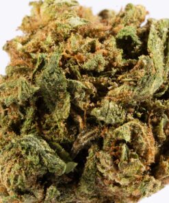 Lagoon (A) - Image 3