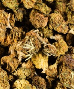 Lagoon (A) - Image 4