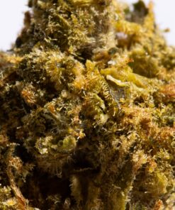 Larry OG Smalls (AA) - Image 4