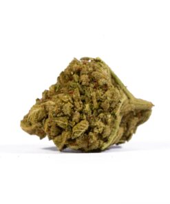 Mango Tango (A) - Image 5