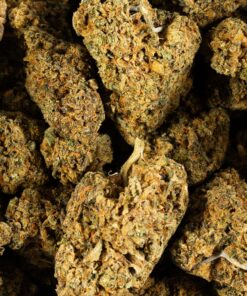 Orange Mints (AA+) - Image 5