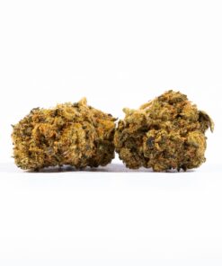 Red Velvet Smalls (AA)