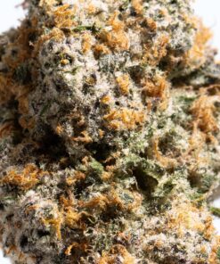 Slurricane (AAAA) - Image 4