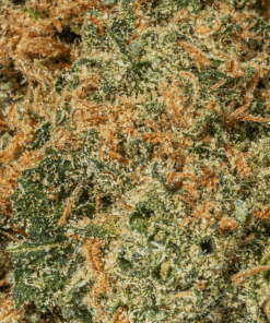 Ayahuasca Purple (AA+) - Image 5