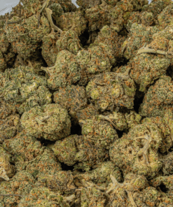 Ayahuasca Purple (AA+) - Image 4