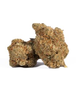 Afghan Hawaiian (AA)