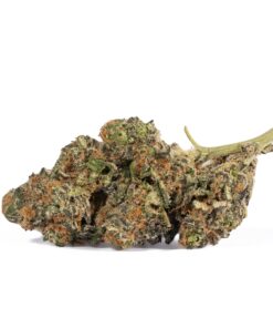 Animal Cookies (AAA) - Image 2