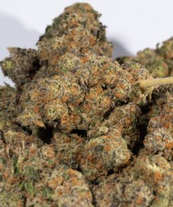 Animal Cookies (AAA) - Image 3