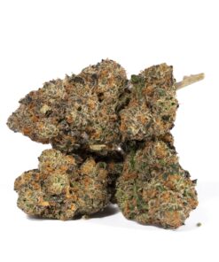 Animal Cookies (AAA) - Image 5
