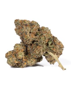 Animal Cookies (AAA) - Image 1