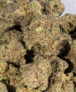 Bubblegum (AA+) - Image 5
