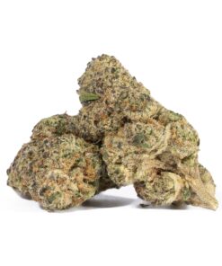 Bubblegum (AA+) - Image 1