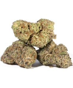 Bubblegum (AA+) - Image 4