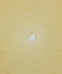 House Shatter - Candyland (Sativa) - Image 2