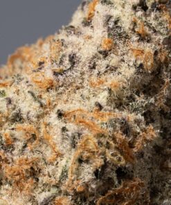 Critical Mass (AAA+) - Image 5