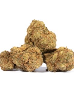 Cinderella 99 (AA) - Image 2