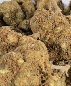 Cinderella 99 (AA) - Image 3