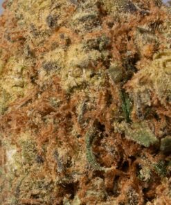 Cinderella 99 (AA) - Image 4