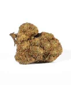 Cinderella 99 (AA) - Image 5