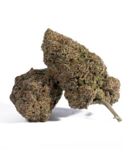 Dank Sinatra (AAA+) - Image 1