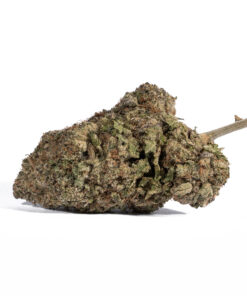 Dank Sinatra (AAA+) - Image 2