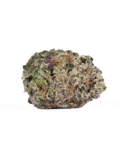 Italian Ice (AAAA) - Image 3