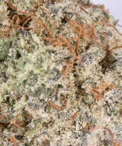 Dragon's Breath (AAA+) - Image 5
