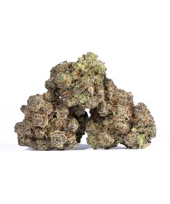 Gelato 41 (AAAA) - Image 4
