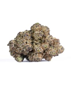 Gelato 41 (AAAA) - Image 3