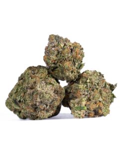 Master Jedi (AAAA) - Image 5