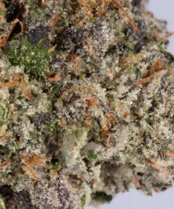 Master Jedi (AAAA) - Image 4