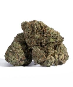 Grey God (AAA+) - Image 1