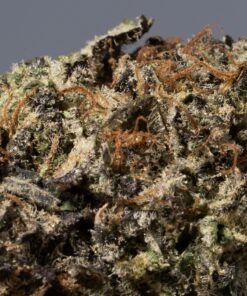 Grey God (AAA+) - Image 5