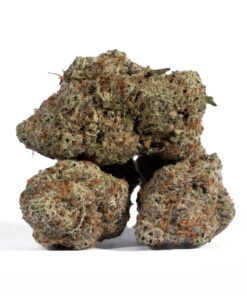 Grey Goose (AAA+) - Image 3