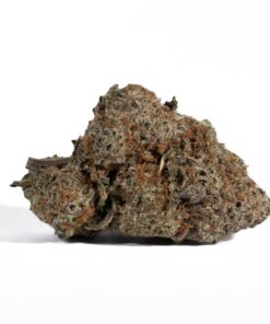 Grey Goose (AAA+) - Image 2