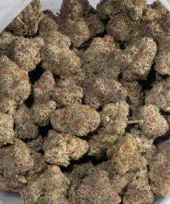 Grey Goose (AAA+) - Image 5