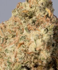 Jack Herer (AA+) - Image 2