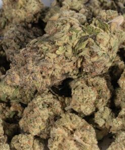 Jack Herer (AA+) - Image 3