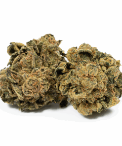 Blue Cheese (AA) - Image 1