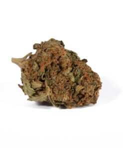 Lime Sorbet (A) - Image 3