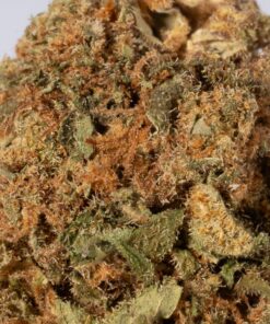 Lime Sorbet (A) - Image 4