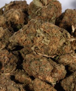 Lime Sorbet (A) - Image 5