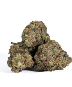 Pink Rockstar (AAA+) - Image 3