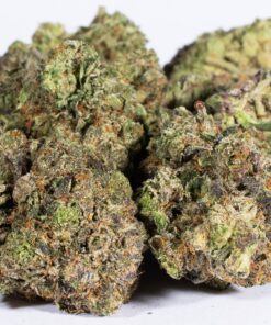 Pink Rockstar (AAA+) - Image 5