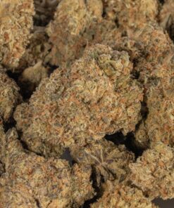 Moby Dick (AA+) - Image 4