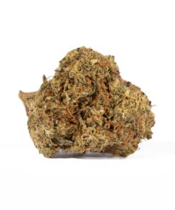 Moby Dick (AA+) - Image 2