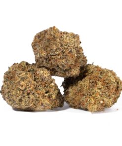 Moby Dick (AA+) - Image 3